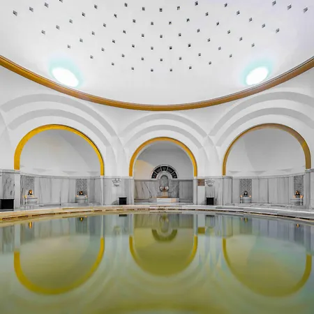 Atatuerk Thermal & Convention Center 5* בורסה