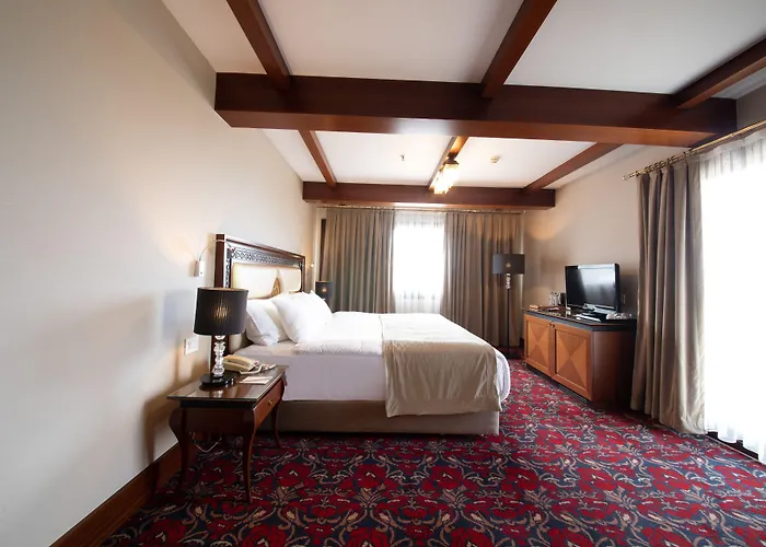 Atatuerk Thermal & Convention Center Hotel